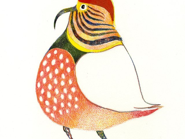 ColombottoBotto